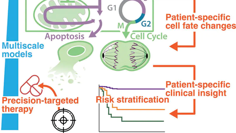 Computational modelling of aggressive B-cell lymphoma